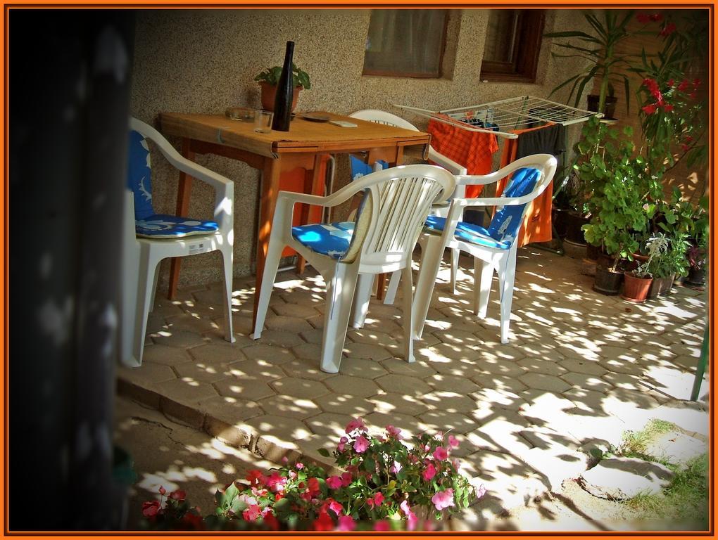 Zura Apartments Ohri Oda fotoğraf
