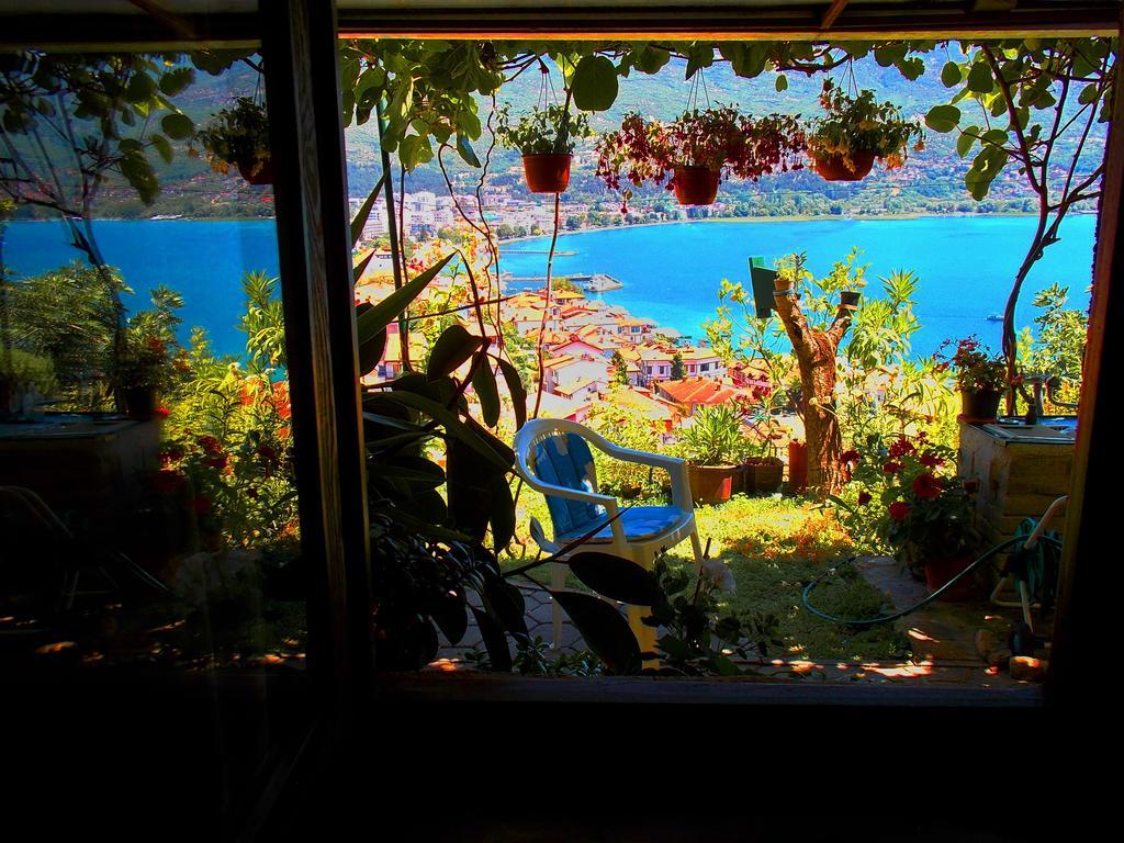 Zura Apartments Ohri Oda fotoğraf