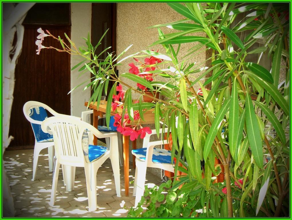 Zura Apartments Ohri Oda fotoğraf