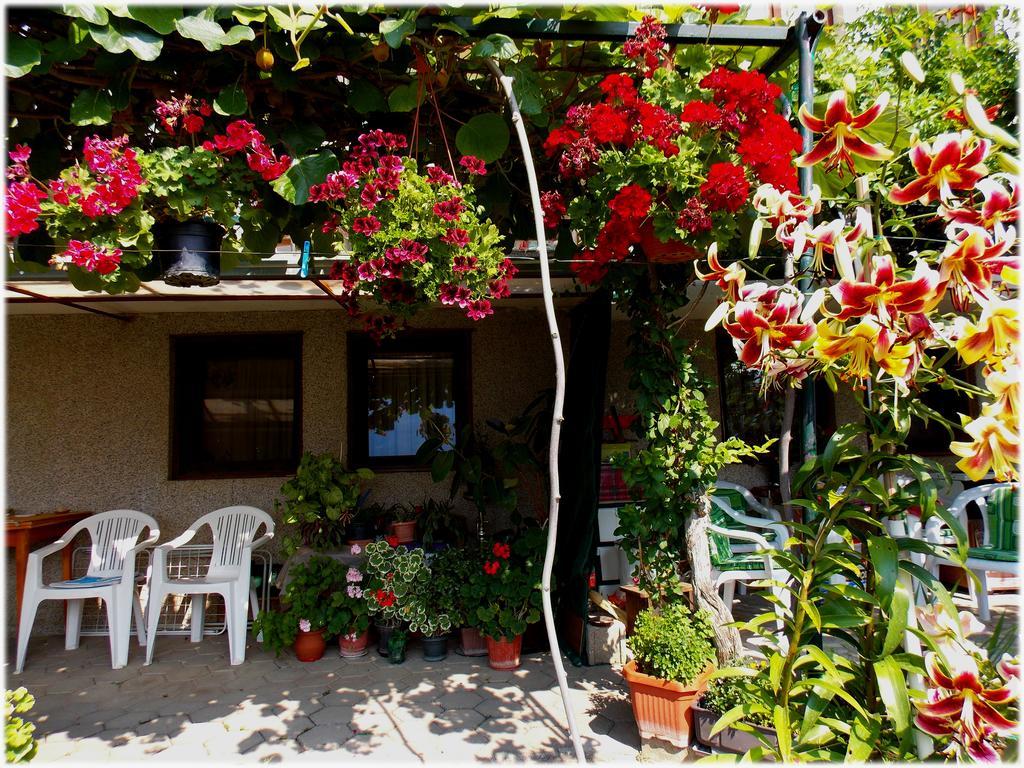 Zura Apartments Ohri Dış mekan fotoğraf